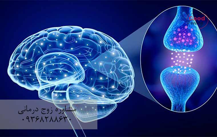 سروتونین-یا-هورمون-آرامش