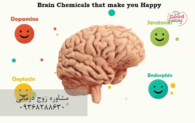 هورمون-های-شادی-در-بدن